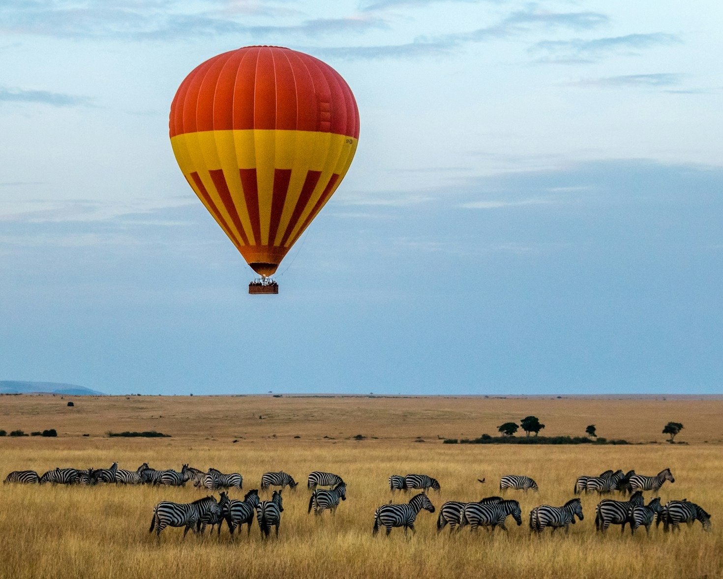 The Best African Safaris for Nature Lovers